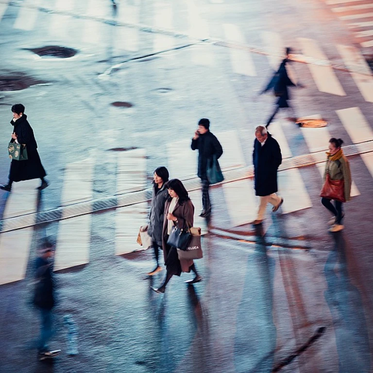 Optimiser votre gestion avec les logiciels de Softline